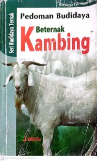 Image of Beternak Kambing